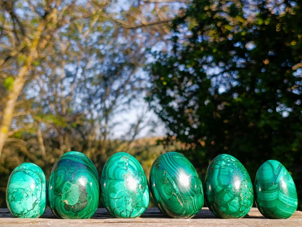Polished Flower Banded Malachite Gemstone Eggs x 6 From Congo - Toprock Gemstones and Minerals 