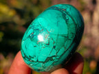 Polished Flower Banded Malachite Gemstone Eggs x 6 From Congo - Toprock Gemstones and Minerals 