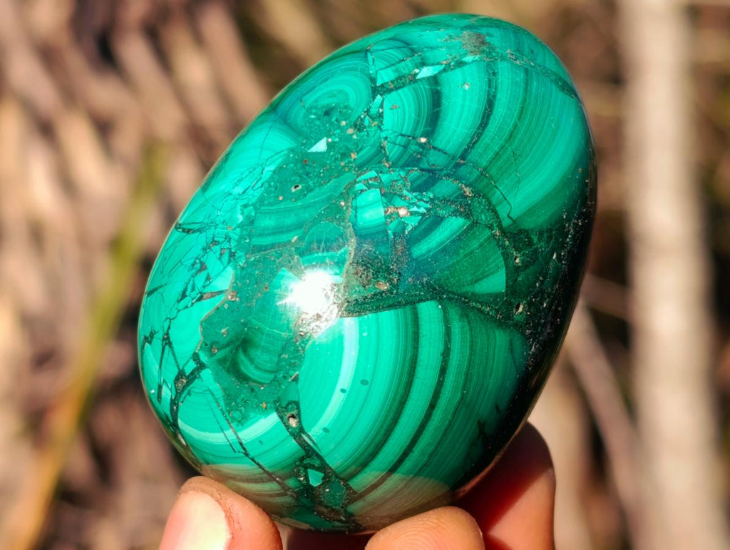 Polished Flower Banded Malachite Gemstone Eggs x 6 From Congo - Toprock Gemstones and Minerals 