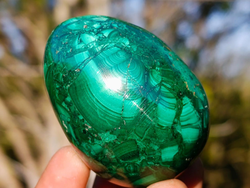 Polished Flower Banded Malachite Gemstone Eggs x 6 From Congo - Toprock Gemstones and Minerals 