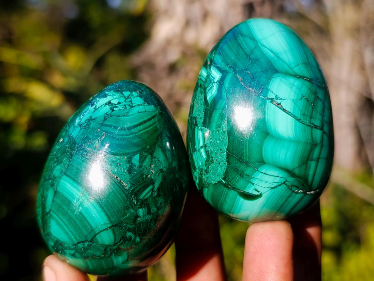Polished Flower Banded Malachite Gemstone Eggs x 6 From Congo - Toprock Gemstones and Minerals 