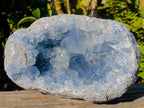 Natural Large Blue Celestite Geode Specimen x 1 From Sakoany, Madagascar - Toprock Gemstones and Minerals 