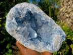 Natural Large Blue Celestite Geode Specimen x 1 From Sakoany, Madagascar - Toprock Gemstones and Minerals 