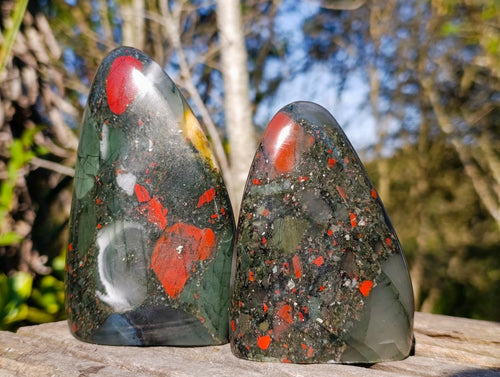 Polished Bloodstone Standing Display Pieces x 2 From Swaziland - Toprock Gemstones and Minerals 