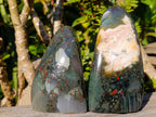 Polished Bloodstone Standing Display Pieces x 2 From Swaziland - Toprock Gemstones and Minerals 