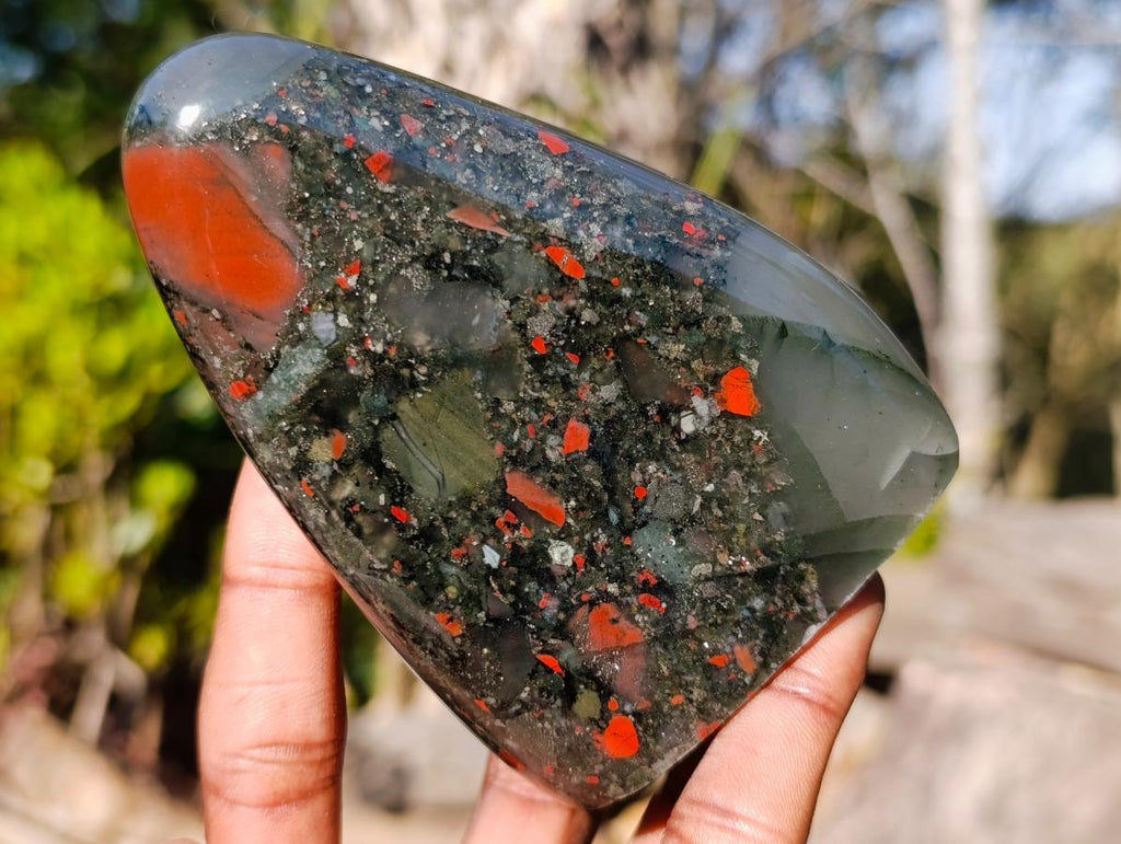Polished Bloodstone Standing Display Pieces x 2 From Swaziland - Toprock Gemstones and Minerals 