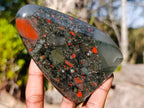 Polished Bloodstone Standing Display Pieces x 2 From Swaziland - Toprock Gemstones and Minerals 