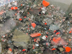 Polished Bloodstone Standing Display Pieces x 2 From Swaziland - Toprock Gemstones and Minerals 