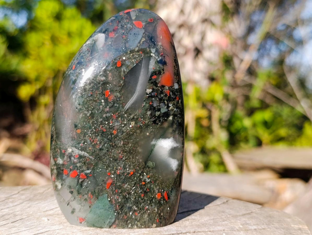 Polished Bloodstone Standing Display Pieces x 2 From Swaziland - Toprock Gemstones and Minerals 