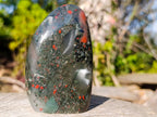 Polished Bloodstone Standing Display Pieces x 2 From Swaziland - Toprock Gemstones and Minerals 
