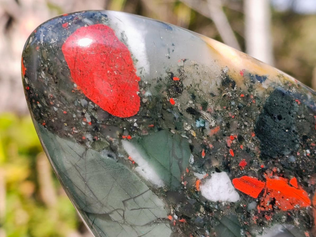 Polished Bloodstone Standing Display Pieces x 2 From Swaziland - Toprock Gemstones and Minerals 