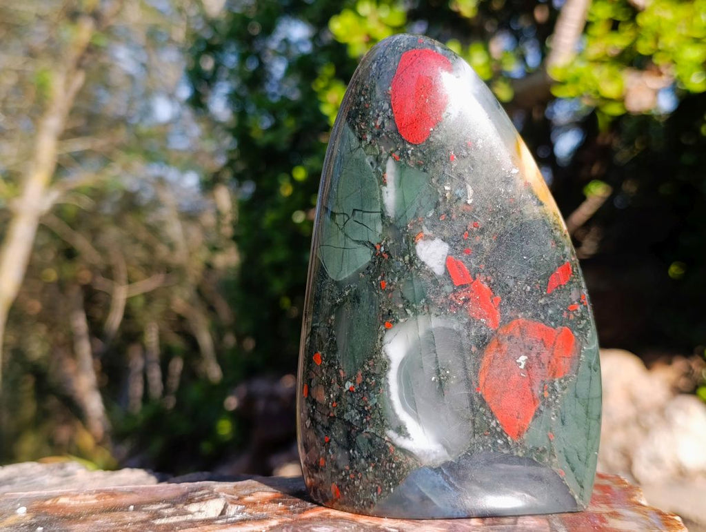 Polished Bloodstone Standing Display Pieces x 2 From Swaziland - Toprock Gemstones and Minerals 
