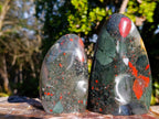 Polished Bloodstone Standing Display Pieces x 2 From Swaziland - Toprock Gemstones and Minerals 