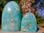 Polished Amazonite Standing Display Pieces x 6 From Madagascar