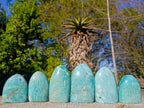 Polished Amazonite Standing Display Pieces x 6 From Madagascar