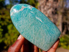Polished Amazonite Standing Display Pieces x 6 From Madagascar