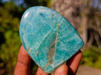 Polished Amazonite Standing Display Pieces x 6 From Madagascar