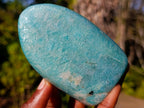 Polished Amazonite Standing Display Pieces x 6 From Madagascar