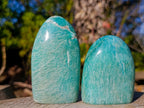 Polished Amazonite Standing Display Pieces x 6 From Madagascar