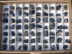 Natural Schorl Black Tourmaline Crystals x 71 From Zimbabwe - Toprock Gemstones and Minerals 