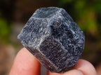 Natural Schorl Black Tourmaline Crystals x 71 From Zimbabwe - Toprock Gemstones and Minerals 