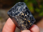 Natural Schorl Black Tourmaline Crystals x 71 From Zimbabwe - Toprock Gemstones and Minerals 