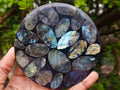 Polished Labradorite Conglomerate Coasters x 6 From Madagascar - Toprock Gemstones and Minerals 
