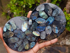 Polished Labradorite Conglomerate Coasters x 6 From Madagascar - Toprock Gemstones and Minerals 