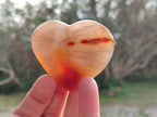 Polished Carnelian Agate Gemstone Hearts x 12 From Madagascar - Toprock Gemstones and Minerals 