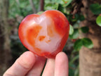 Polished Carnelian Agate Gemstone Hearts x 12 From Madagascar - Toprock Gemstones and Minerals 