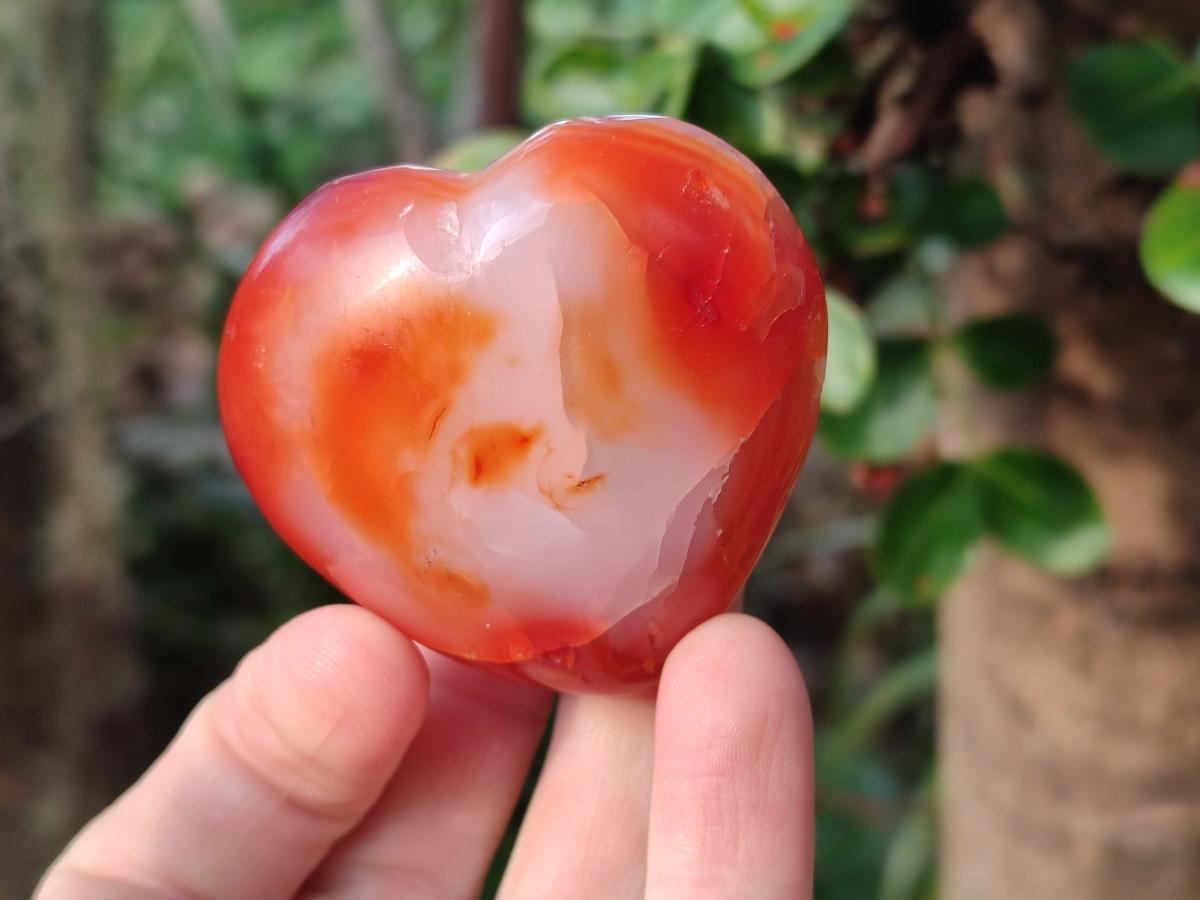 Polished Carnelian Agate Gemstone Hearts x 12 From Madagascar - Toprock Gemstones and Minerals 