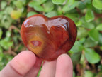 Polished Carnelian Agate Gemstone Hearts x 12 From Madagascar - Toprock Gemstones and Minerals 