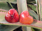 Polished Carnelian Agate Gemstone Hearts x 12 From Madagascar - Toprock Gemstones and Minerals 