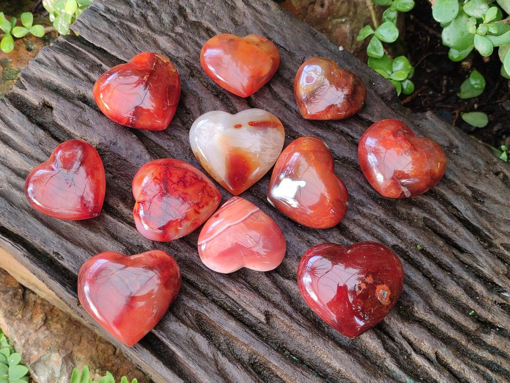Polished Carnelian Agate Gemstone Hearts x 12 From Madagascar - Toprock Gemstones and Minerals 