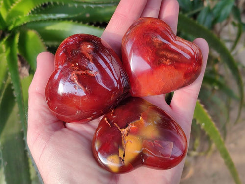 Polished Carnelian Agate Gemstone Hearts x 12 From Madagascar - Toprock Gemstones and Minerals 