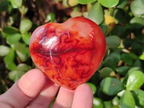 Polished Carnelian Agate Gemstone Hearts x 12 From Madagascar - Toprock Gemstones and Minerals 