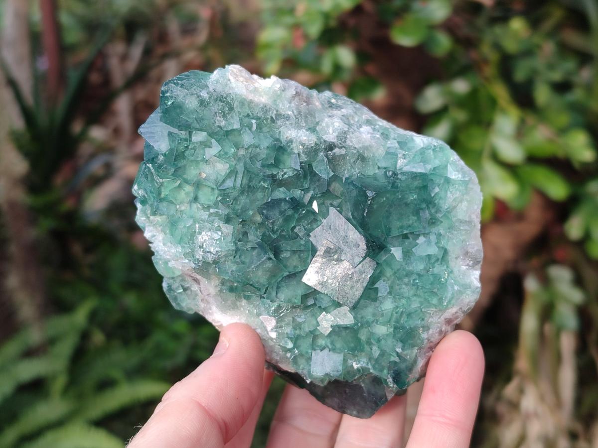 Natural Green Cubic Fluorite Specimens x 2 From Mandrosonoro, Madagascar - Toprock Gemstones and Minerals 