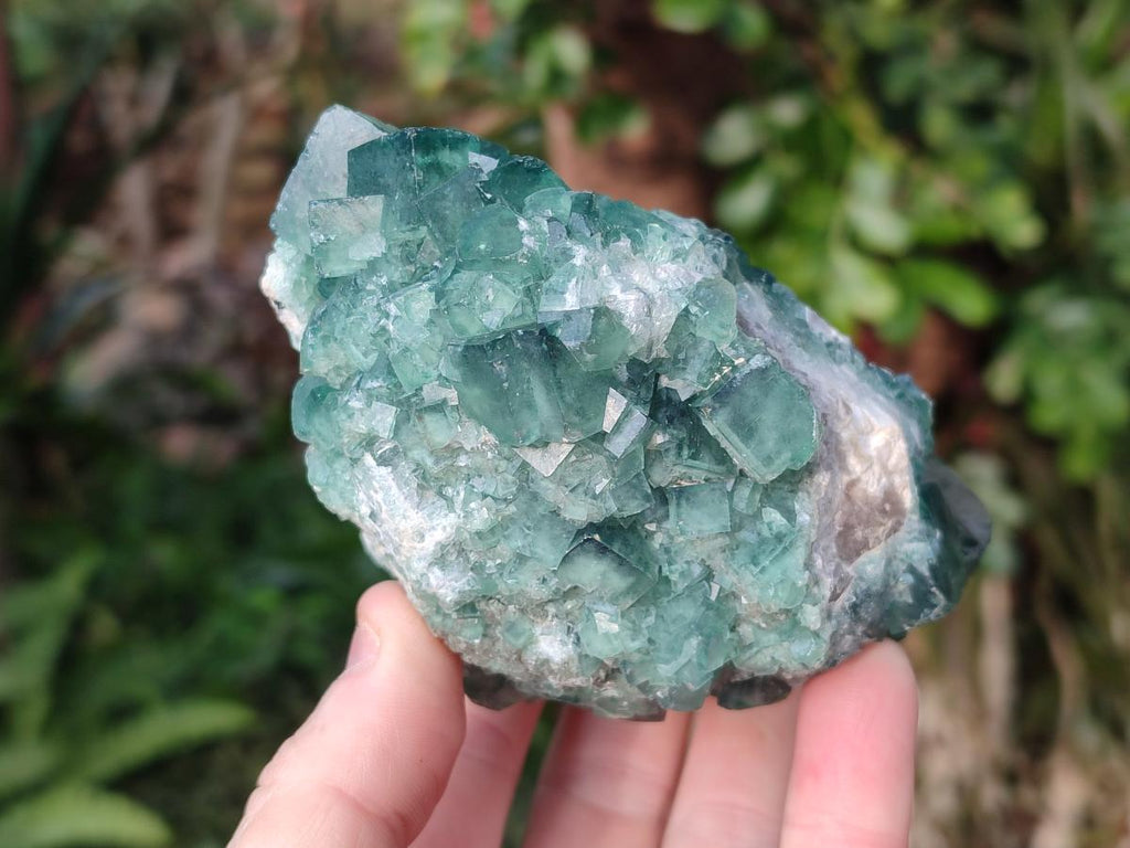 Natural Green Cubic Fluorite Specimens x 2 From Mandrosonoro, Madagascar - Toprock Gemstones and Minerals 