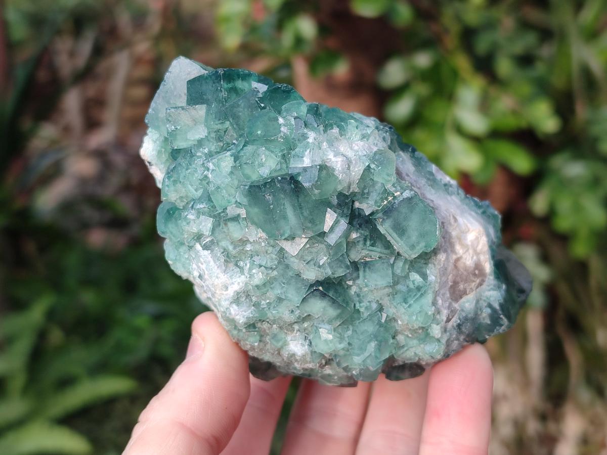 Natural Green Cubic Fluorite Specimens x 2 From Mandrosonoro, Madagascar - Toprock Gemstones and Minerals 