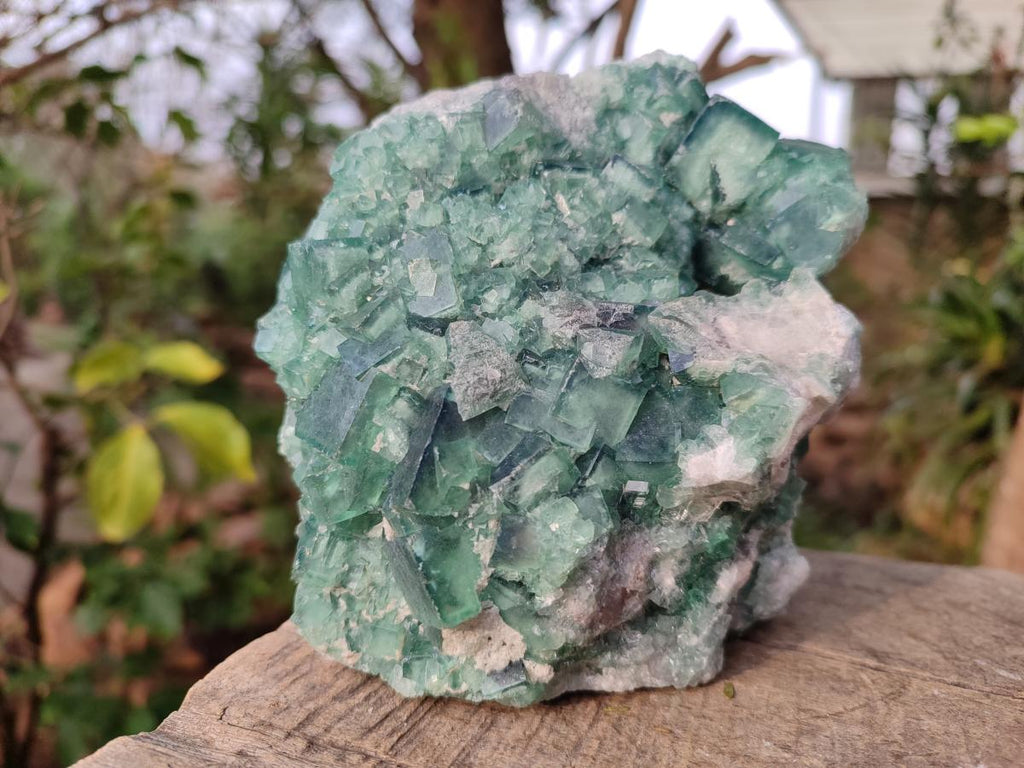 Natural Green Cubic Fluorite Specimens x 2 From Mandrosonoro, Madagascar - Toprock Gemstones and Minerals 