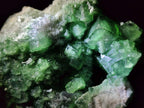 Natural Green Cubic Fluorite Specimens x 2 From Mandrosonoro, Madagascar - Toprock Gemstones and Minerals 