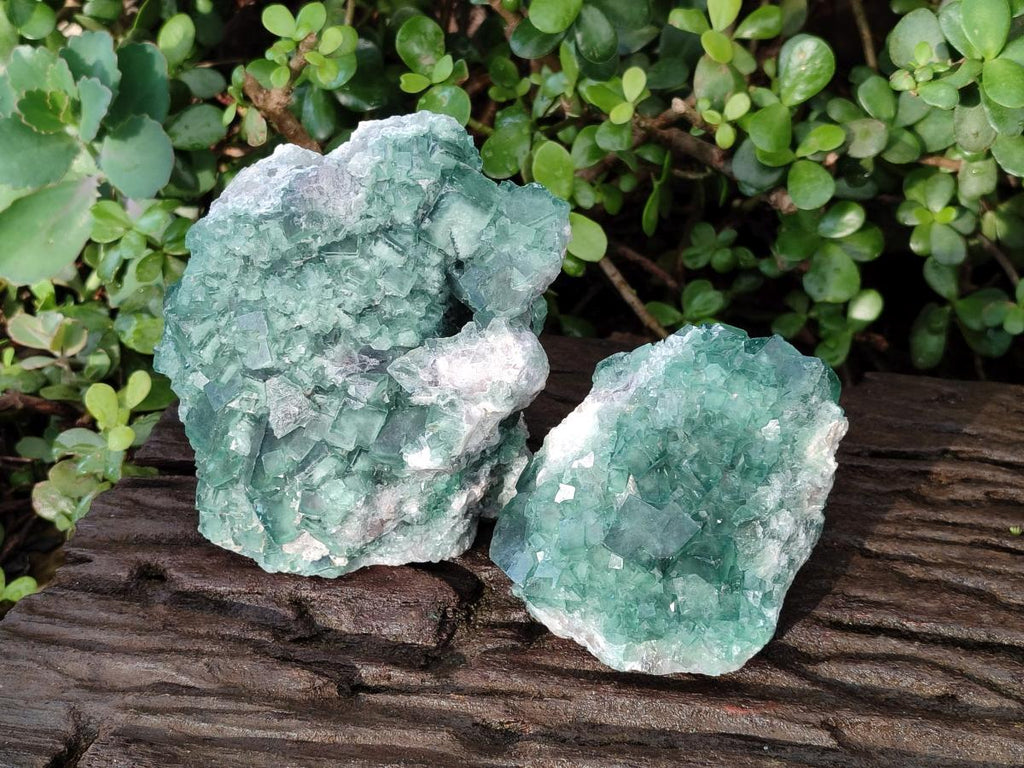 Natural Green Cubic Fluorite Specimens x 2 From Mandrosonoro, Madagascar - Toprock Gemstones and Minerals 