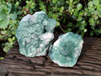 Natural Green Cubic Fluorite Specimens x 2 From Mandrosonoro, Madagascar - Toprock Gemstones and Minerals 