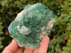 Natural Green Cubic Fluorite Specimens x 2 From Mandrosonoro, Madagascar - Toprock Gemstones and Minerals 