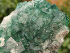 Natural Green Cubic Fluorite Specimens x 2 From Mandrosonoro, Madagascar - Toprock Gemstones and Minerals 