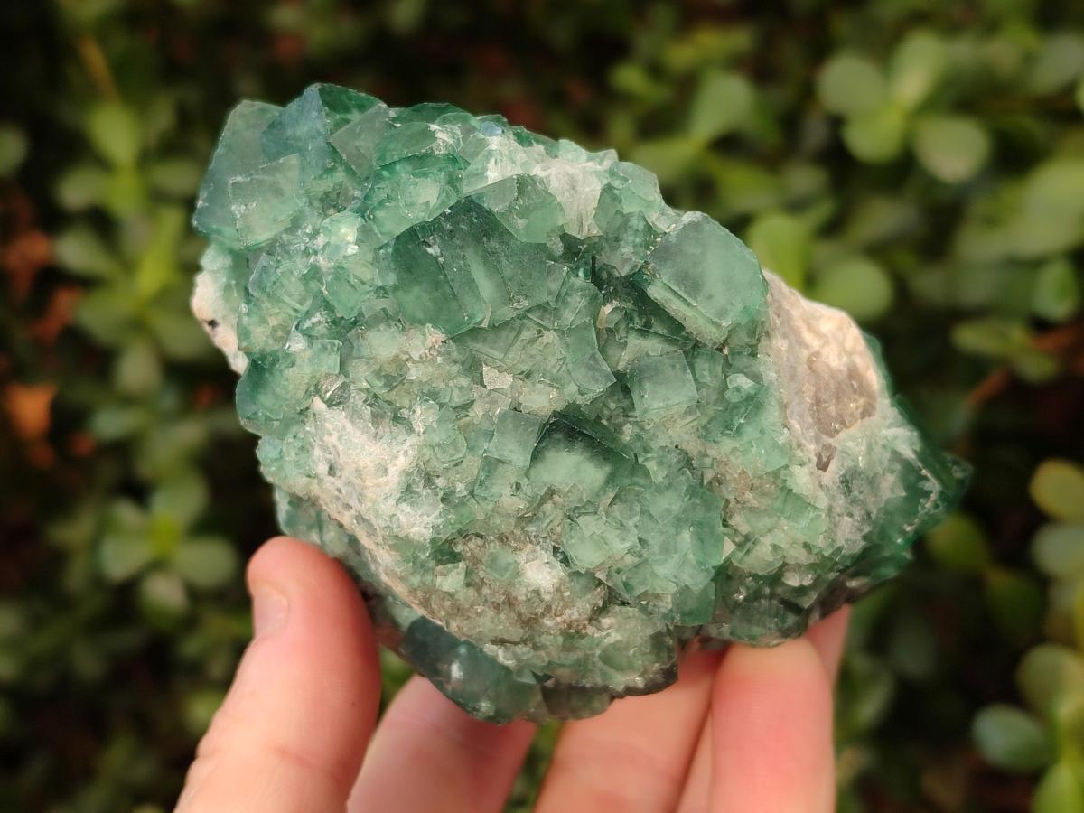 Natural Green Cubic Fluorite Specimens x 2 From Mandrosonoro, Madagascar - Toprock Gemstones and Minerals 