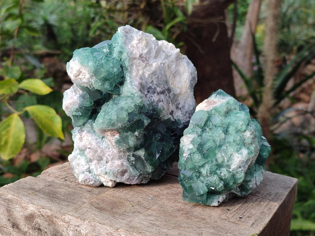 Natural Green Cubic Fluorite Specimens x 2 From Mandrosonoro, Madagascar - Toprock Gemstones and Minerals 