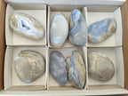 Polished Blue Lace Agate Free Forms x 8 From Nsanje, Malawi - Toprock Gemstones and Minerals 