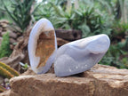 Polished Blue Lace Agate Free Forms x 8 From Nsanje, Malawi - Toprock Gemstones and Minerals 