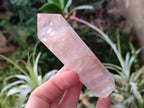 Polished Red Hematoid Quartz Display Crystals x 6 From Madagascar - Toprock Gemstones and Minerals 